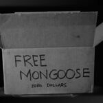 Minnesota Historia: Mr. Magoo the Mongoose