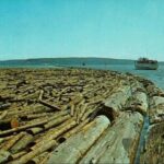 Postcard from a “Log Raft”