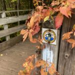 North Country Trail in Wisconsin: Backtracking