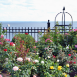 PDD Quiz: Twin Ports in Bloom