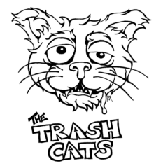 Trash cats