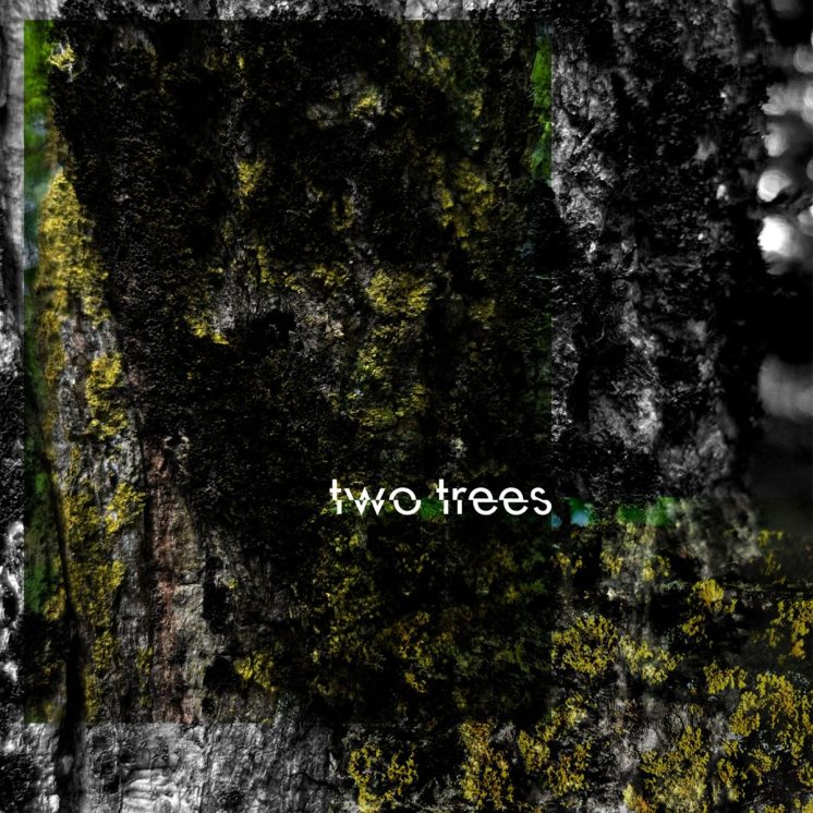 Breanne Marie and the Front Porch Sinners Two Trees album cover
