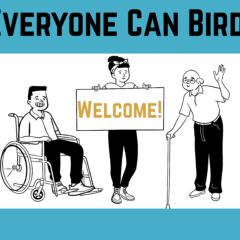 Everyone Can Bird Banner
