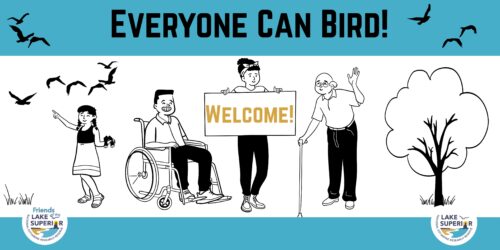 Everyone Can Bird Banner