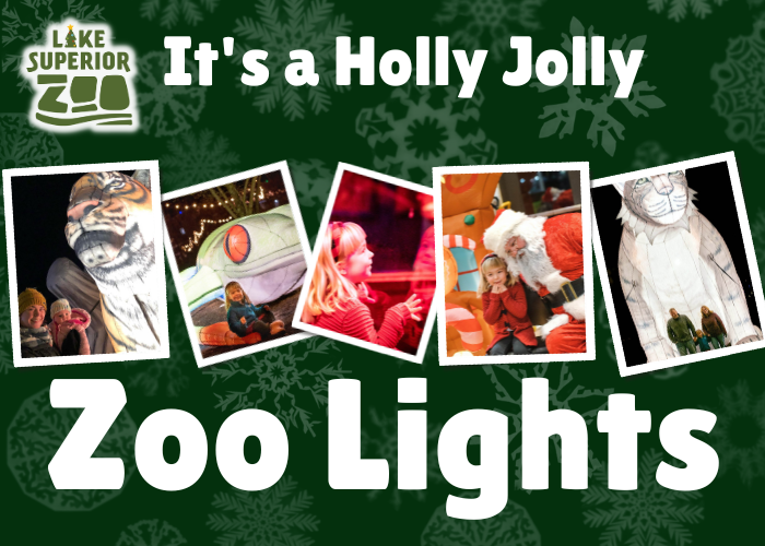 Zoo Lights Ad (700 x 500 px) (1)