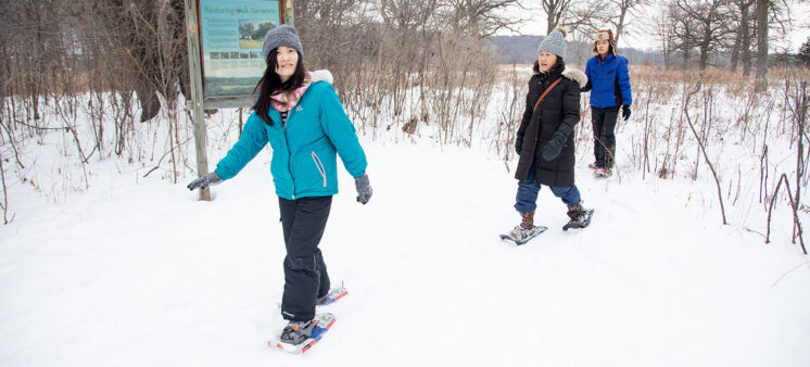 Snowshoe banner