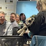 At the RSDP meeting there was a lamb waiting to vote
