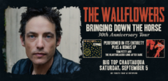 The Wallflowers