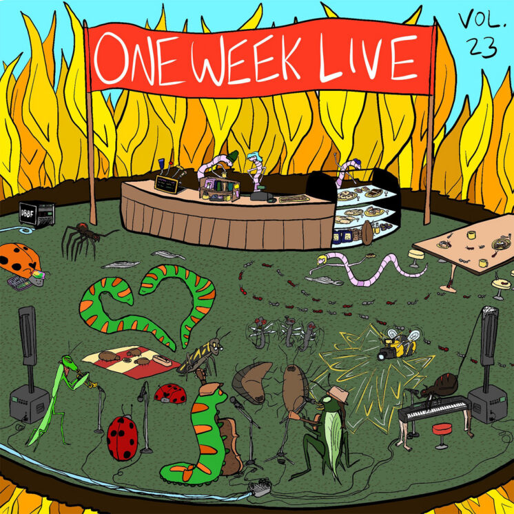 Wussows One Week Live vol