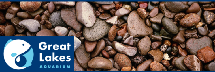 Great Lakes Aquarium Stones