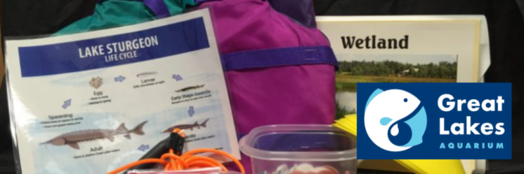 STEMForKids