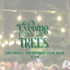 Evening Under the Trees