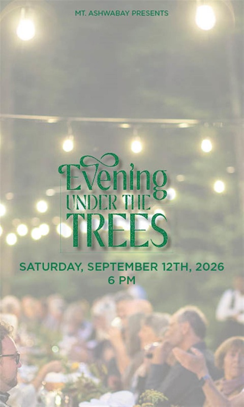 Evening Under the Trees