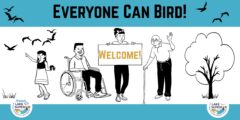 Everyone Can Bird Banner