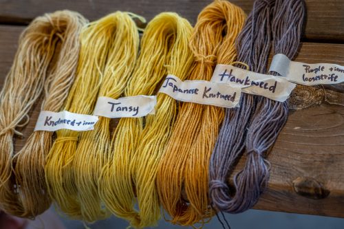 Invasive Color: Using Invasive Species as Natural Dyes 2022