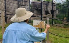 Lake Superior Zoo