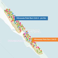 Minnesota Point Burn Areas