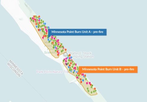 Minnesota Point Burn Areas