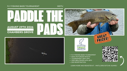 Paddle the Pads (1920 x 1080 px)