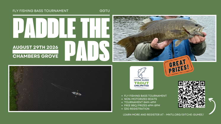 Paddle the Pads (1920 x 1080 px)