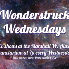Wonderstruck