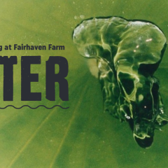 Thewatergathering