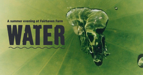Thewatergathering