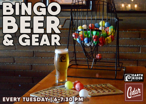 Bingo 3 EVENTCAL 500x357