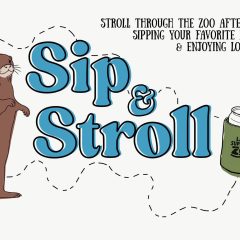 Sip and Stroll