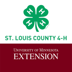 St Louis County 4 H
