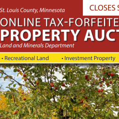 StLousCoOnlineTax ForfeitedPropertyAuction