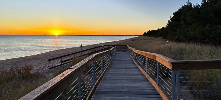 Dune Discovery and Stewardship Day