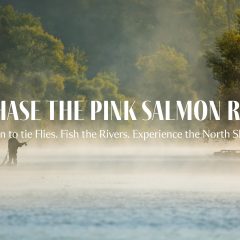 Pink salmon hero