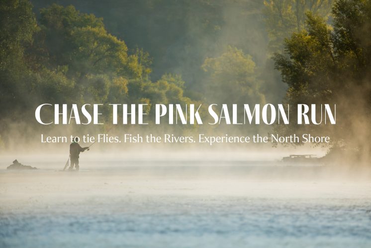Pink salmon hero