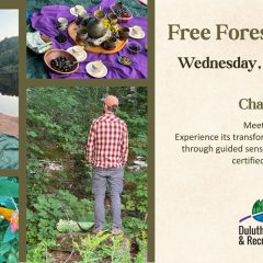 Sept 9 foret bathing