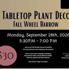 BOHO fall Wheel Barrow (Facebook Cover)