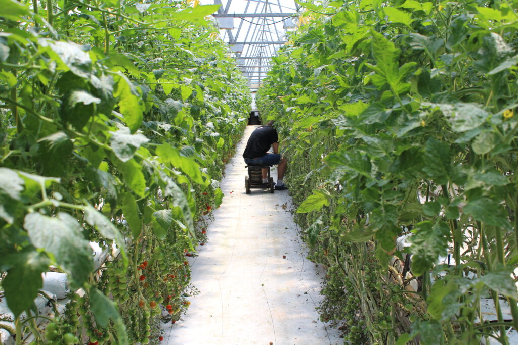 Bay Produce