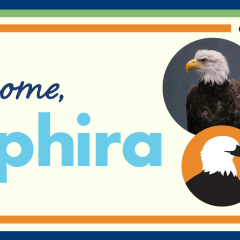 Eagle Welcome Party Header 1920x1005