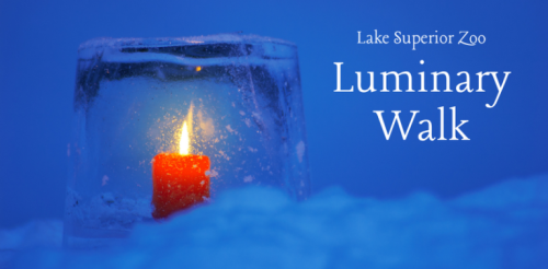 LuminaryWalkZoo