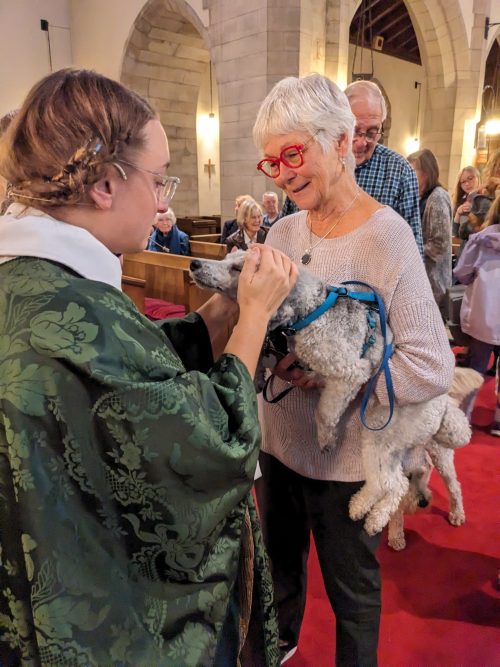 Pet Blessing with Diane