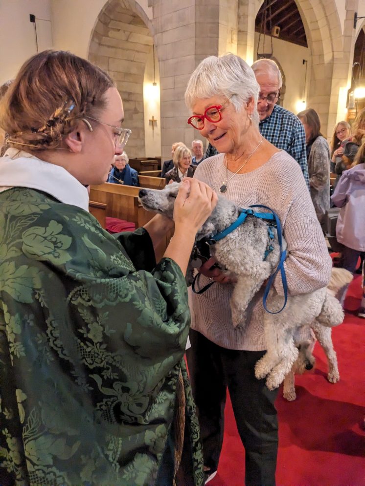 Pet Blessing with Diane