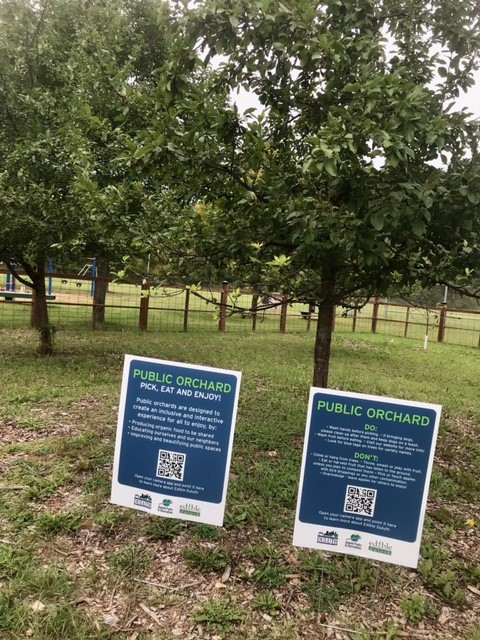 Public Orchard
