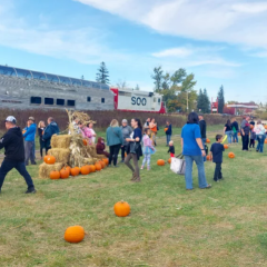 Pumpkin Train