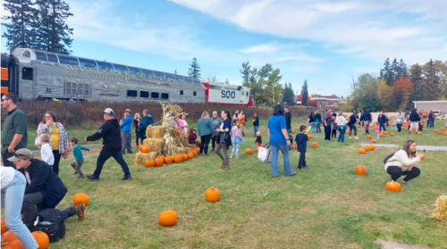 Pumpkin Train