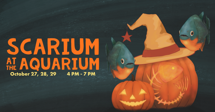 Scarium at the Aquarium 2026