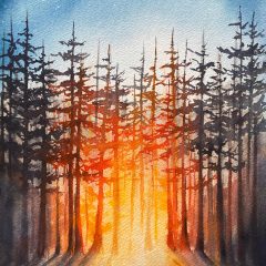 Shelter and Light Derek Bromme