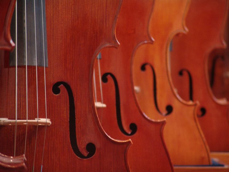 String Orchestra Concert Jessica Schroeder