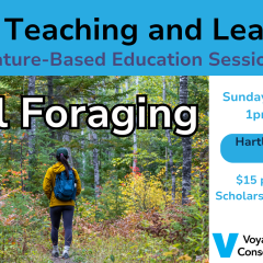 Wild Teaching and Learning (6)