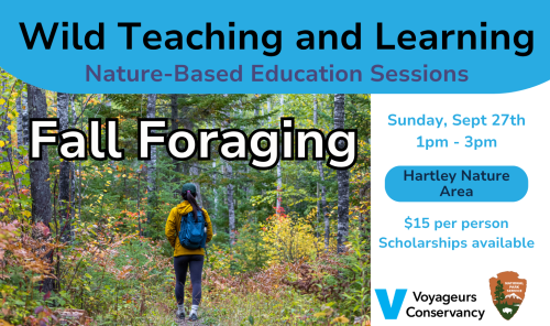 Wild Teaching and Learning (6)