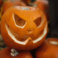 Carved pumpkin3 for pp26